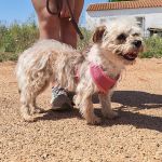 Polly_IMG_20260531_123225