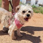 Polly_IMG_20260531_123228