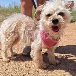 Polly_IMG_20260531_123229