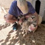 Polly_Sunny_Butch_IMG-20260501-WA0498