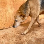 Quiara_IMG_2282