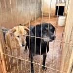 Quiara_IMG_6783