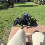 Regaliz_2026-03-04 at 12-36-48