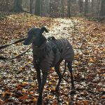 Renata_2025-12-21-16-36-54