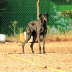 Renata_IMG_6253