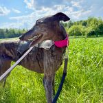 Renata_IMG_9366