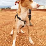 Rio_IMG_20251115_123844