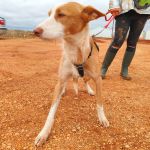 Rio_IMG_20251115_123900