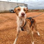 Rio_IMG_20251115_123913