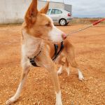 Rio_IMG_20251115_123915