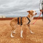 Rio_IMG_20251115_123951