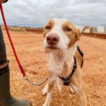 Rio_IMG_20251115_124041