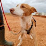 Rio_IMG_20251115_124044