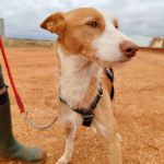 Rio_IMG_20251115_124045_1