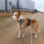 Rio_IMG_20251116_093718