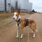 Rio_IMG_20251116_093719