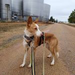 Rio_IMG_20251116_093720