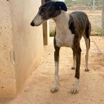 Rita_IMG_8298