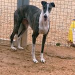 Rita_IMG_8303