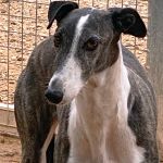 Rita_IMG_8305