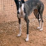 Rita_IMG_8309