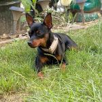 River_IMG_4478