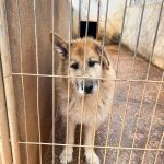 Rocket_IMG_6786