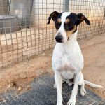 Rocko_IMG_0225