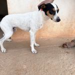 Rocko_IMG_0228