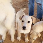 Rocky_IMG_20260221_120743