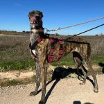 Romina_2026-02-20 at 12-18-24