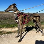 Romina_2026-02-21 at 12-18-24