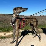 Romina_2026-02-22 at 12-18-24