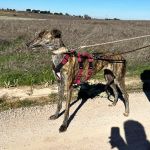 Romina_2026-02-24 at 12-18-24