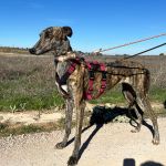 Romina_2026-02-25 at 12-18-24