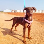 Rubi_IMG_20250823_105447
