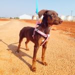 Rubi_IMG_20250823_105449