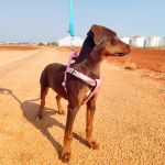 Rubi_IMG_20250823_105451_1