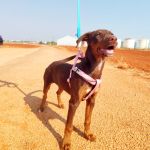 Rubi_IMG_20250823_105453_1