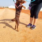 Rubi_IMG_20250823_105526