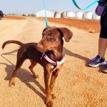 Rubi_IMG_20250823_105528