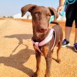 Rubi_IMG_20250823_105606