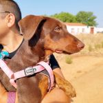 Rubi_IMG_20250823_105952