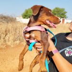 Rubi_IMG_20250823_110014_1