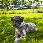 Rubina_IMG_20250809_122219