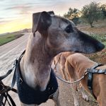 Rubio_2026-02-16 at 16-37-13