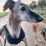 Rubio_2026-02-16 at 17-37-13