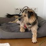 Rudi_IMG-20251115-WA0140