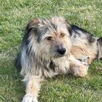 Rudi_IMG-20251206-WA0068