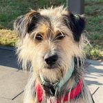 Rudi_IMG-20251206-WA0071